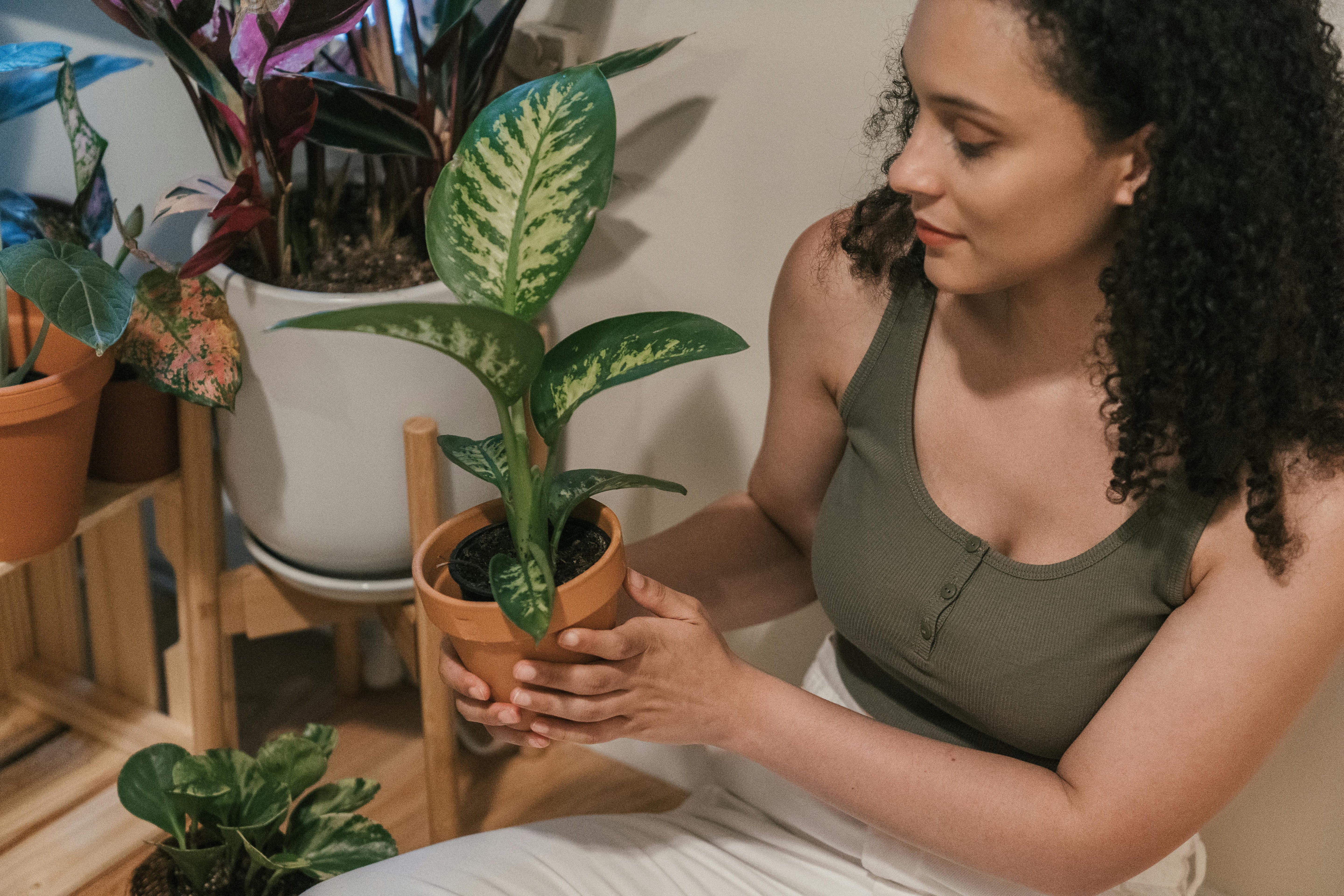 Plantas y bienestar: ¿realmente nos ayudan a reducir el estrés?