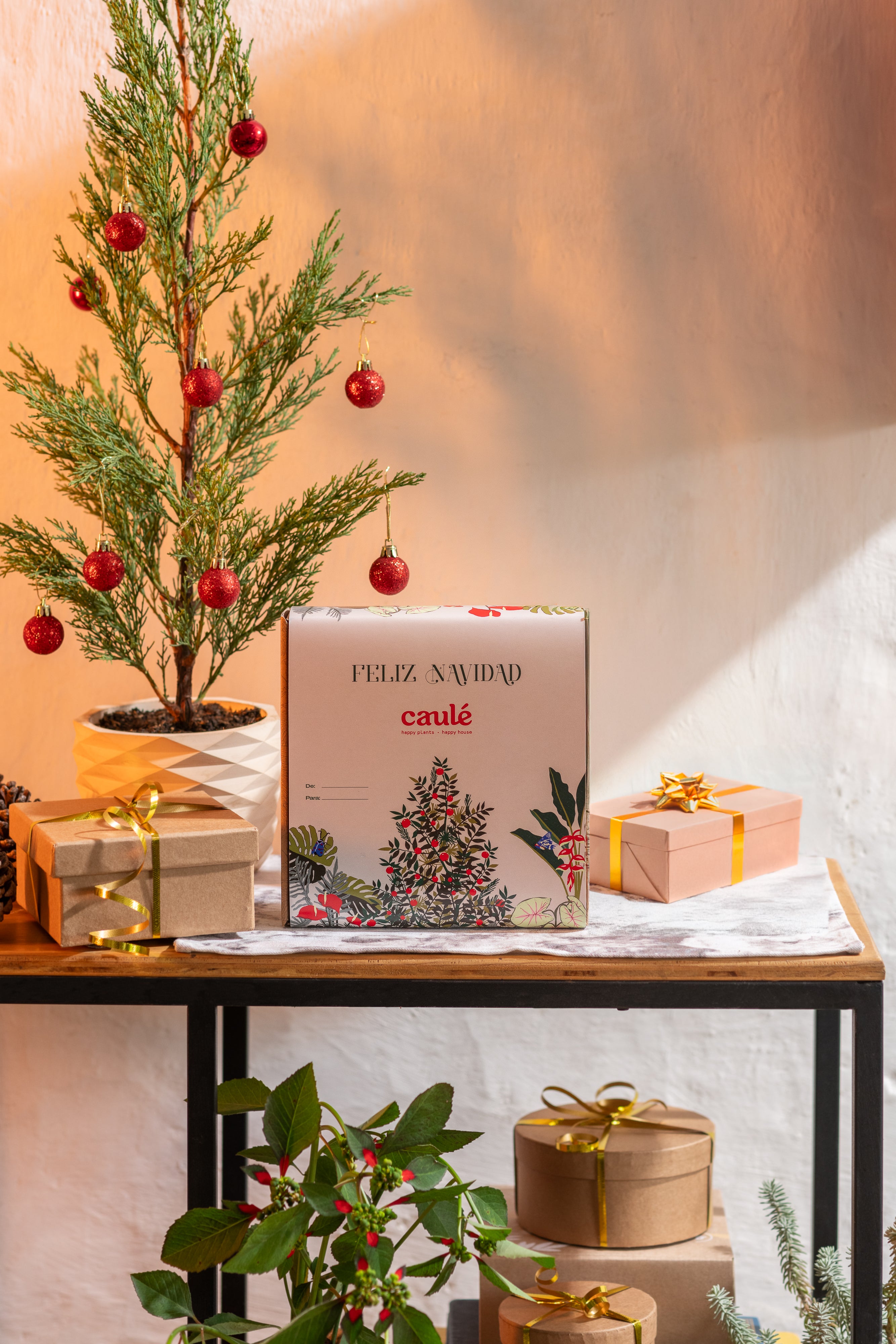 Plant Parent Kit Navidad