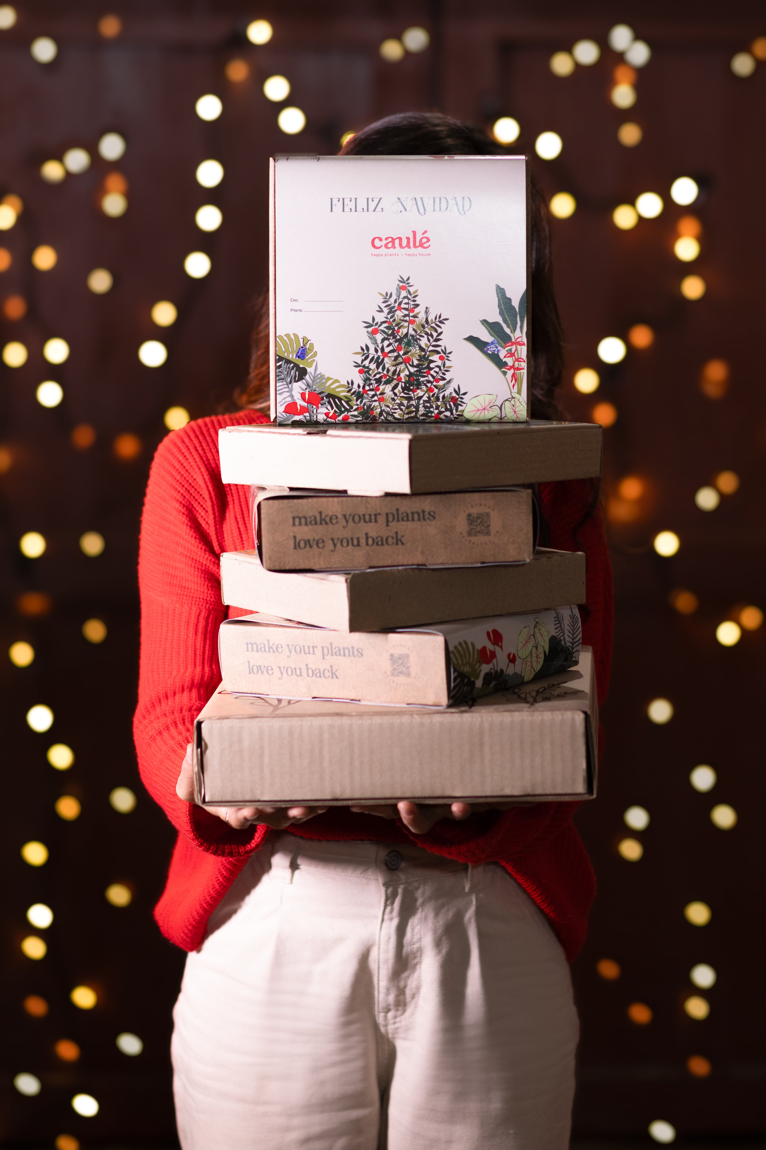 Plant Parent Kit Navidad