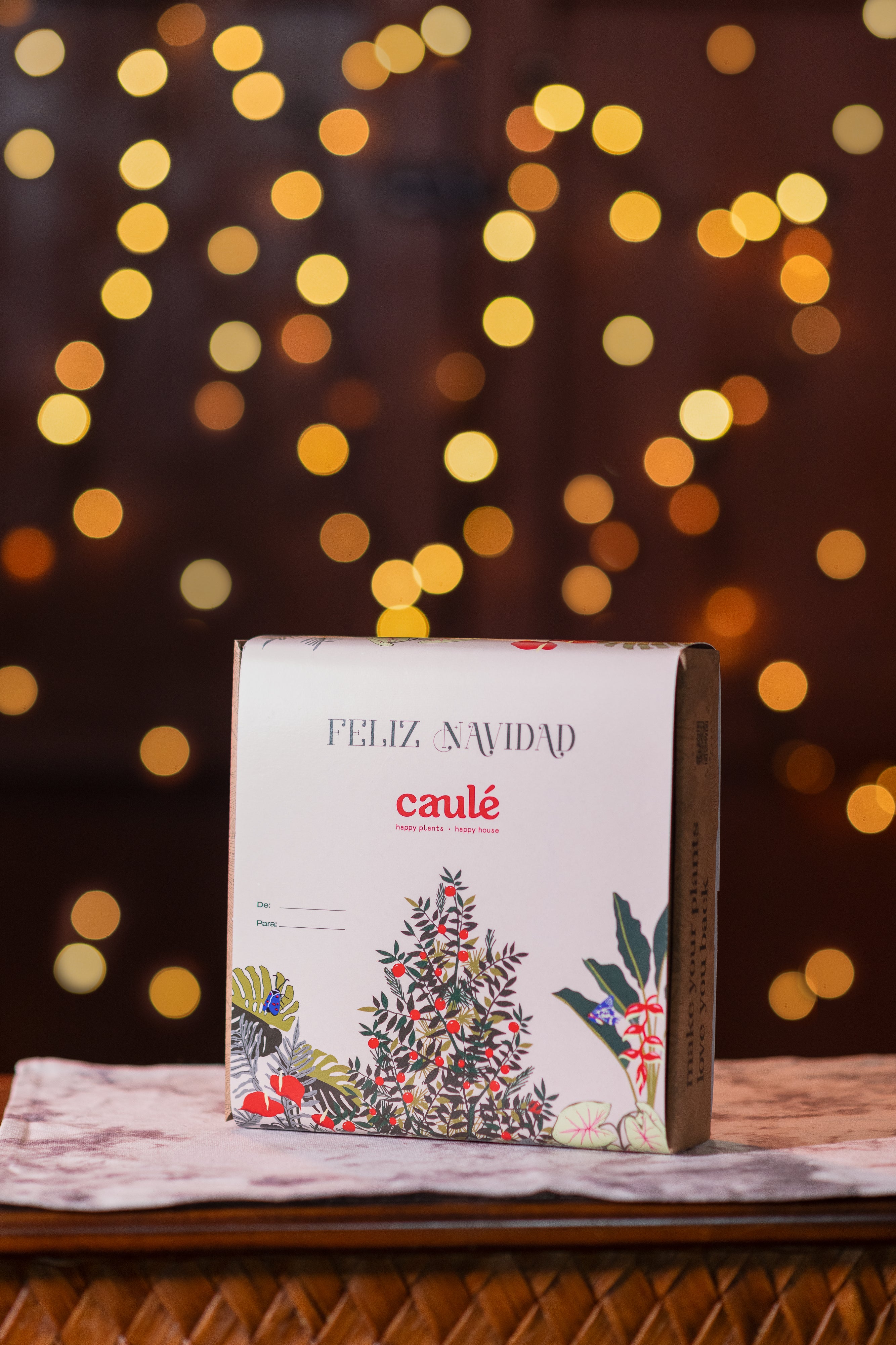 Plant Parent Kit Navidad