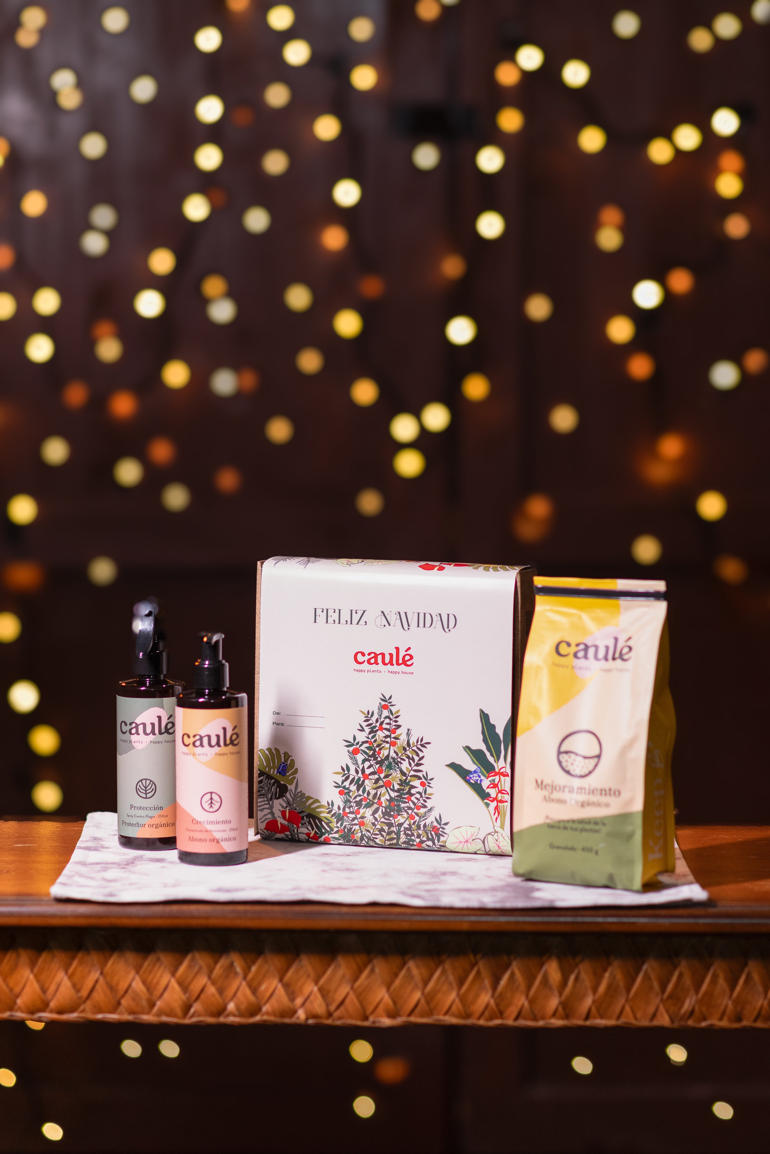 Plant Parent Kit Navidad