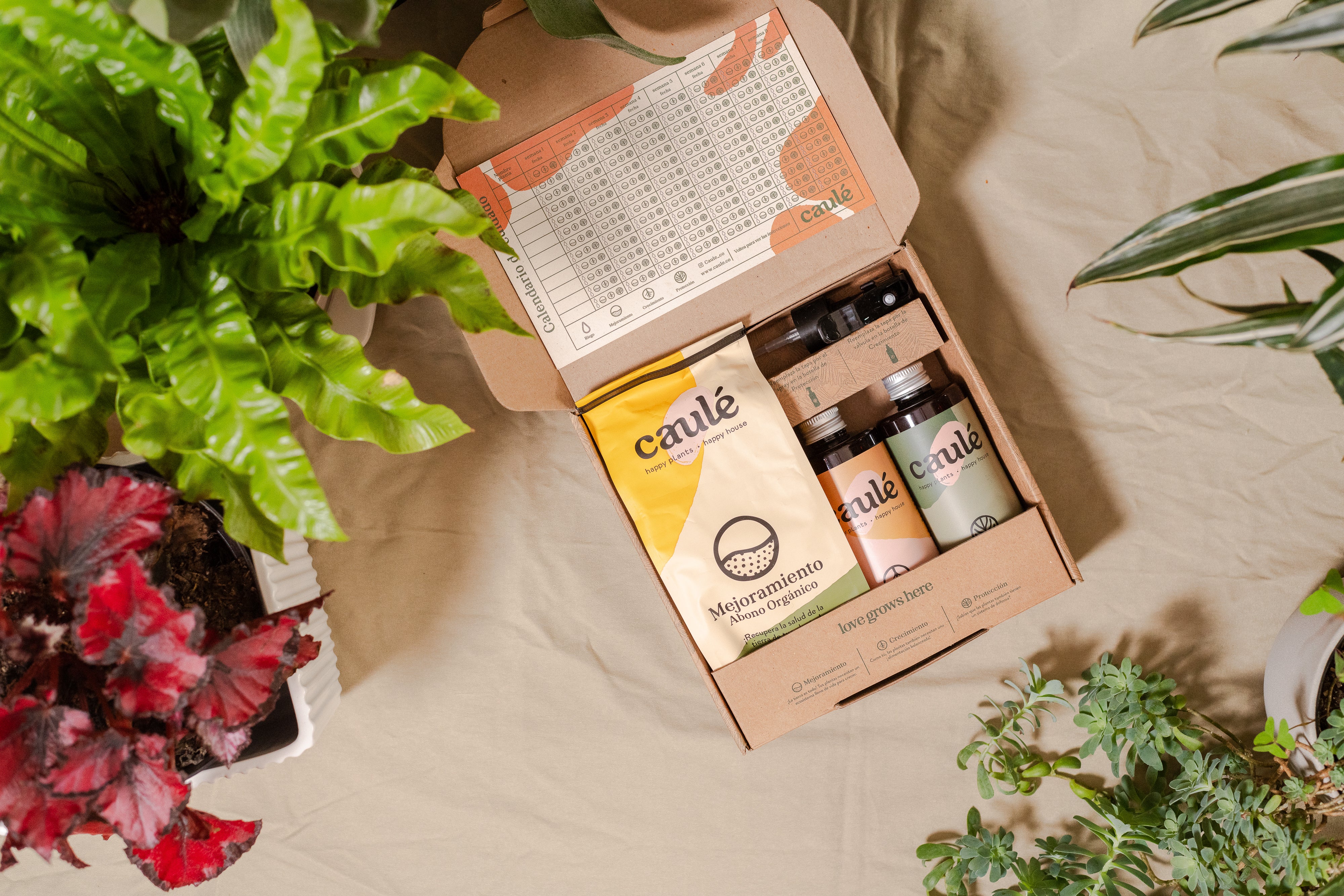 kit cuidado completo para plantas caule