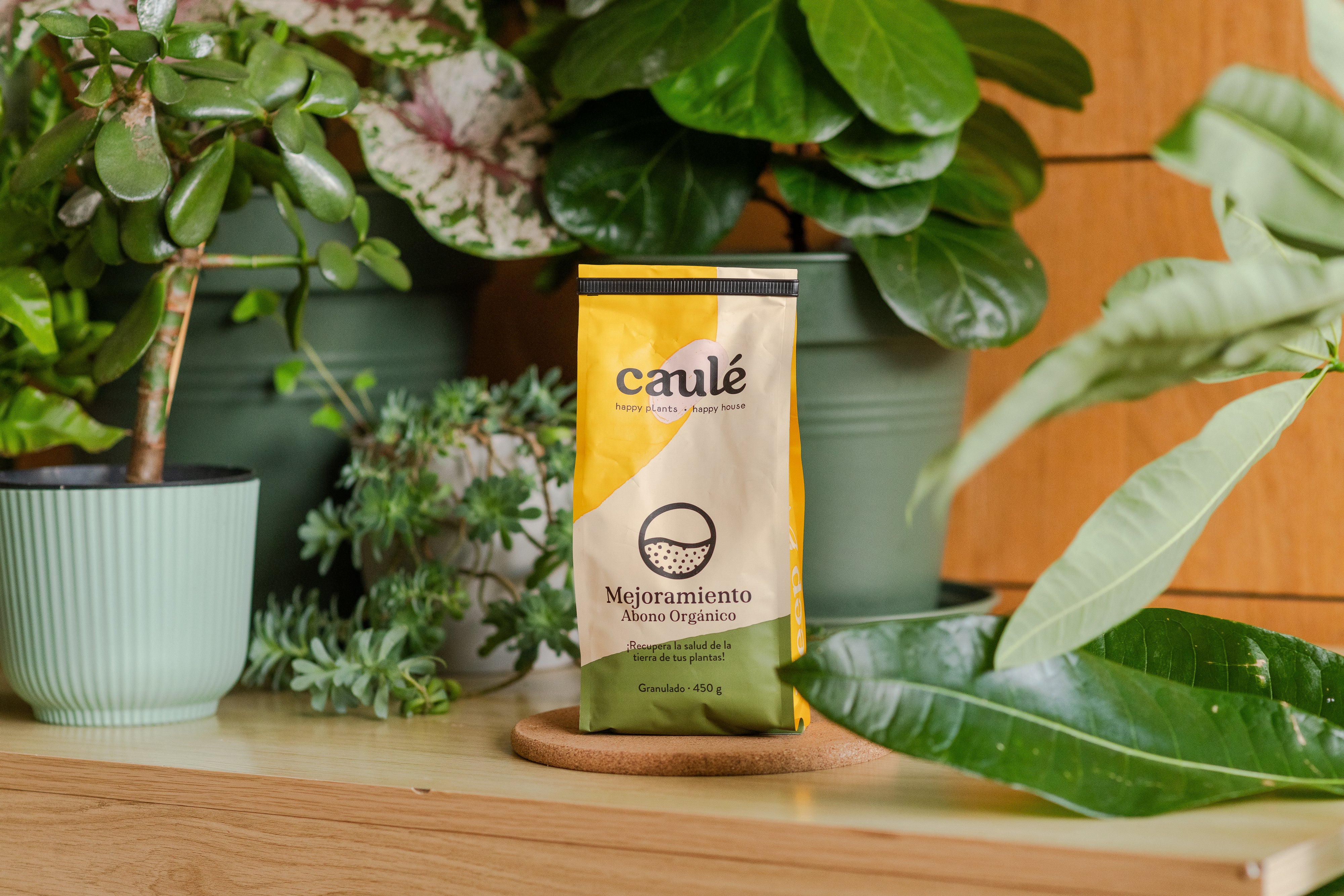 Kit Crecimiento y Vitalidad