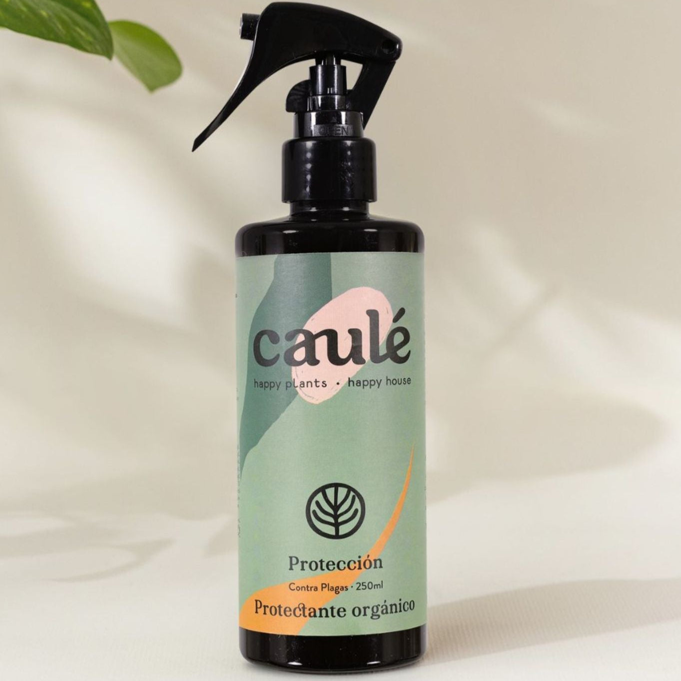 spray contra plagas caule