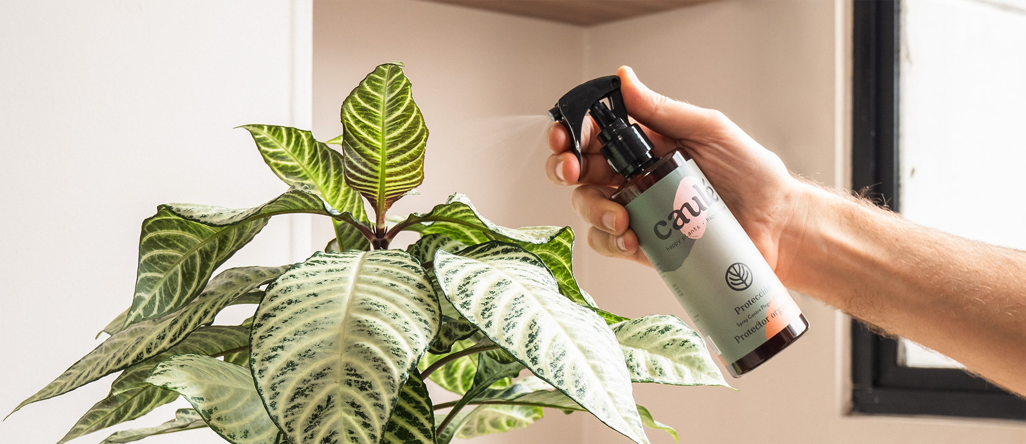 Descubre nuestros kits funcionales para tus plantas