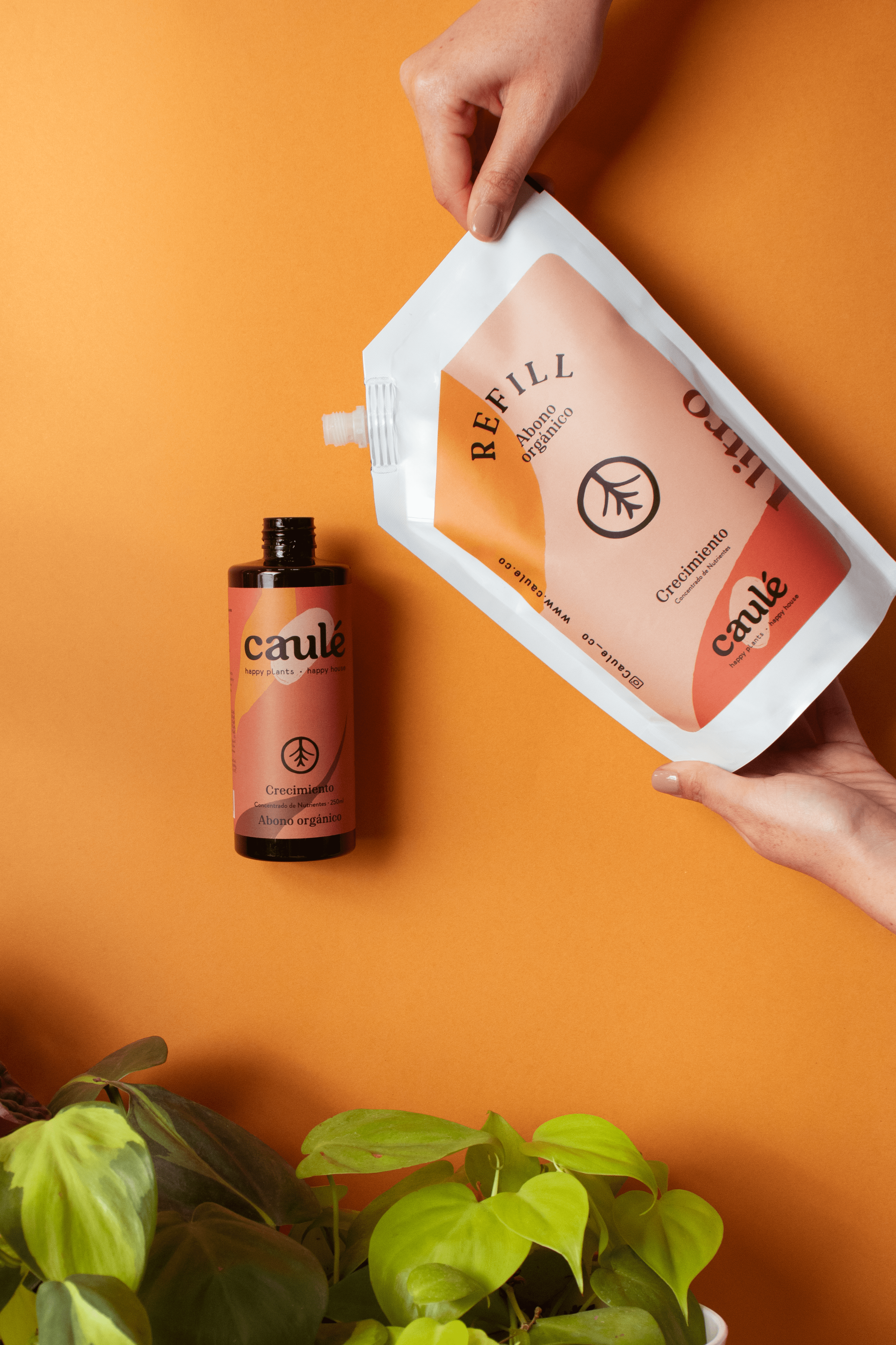 Refill Crecimiento 1 Litro + Botella 250ml