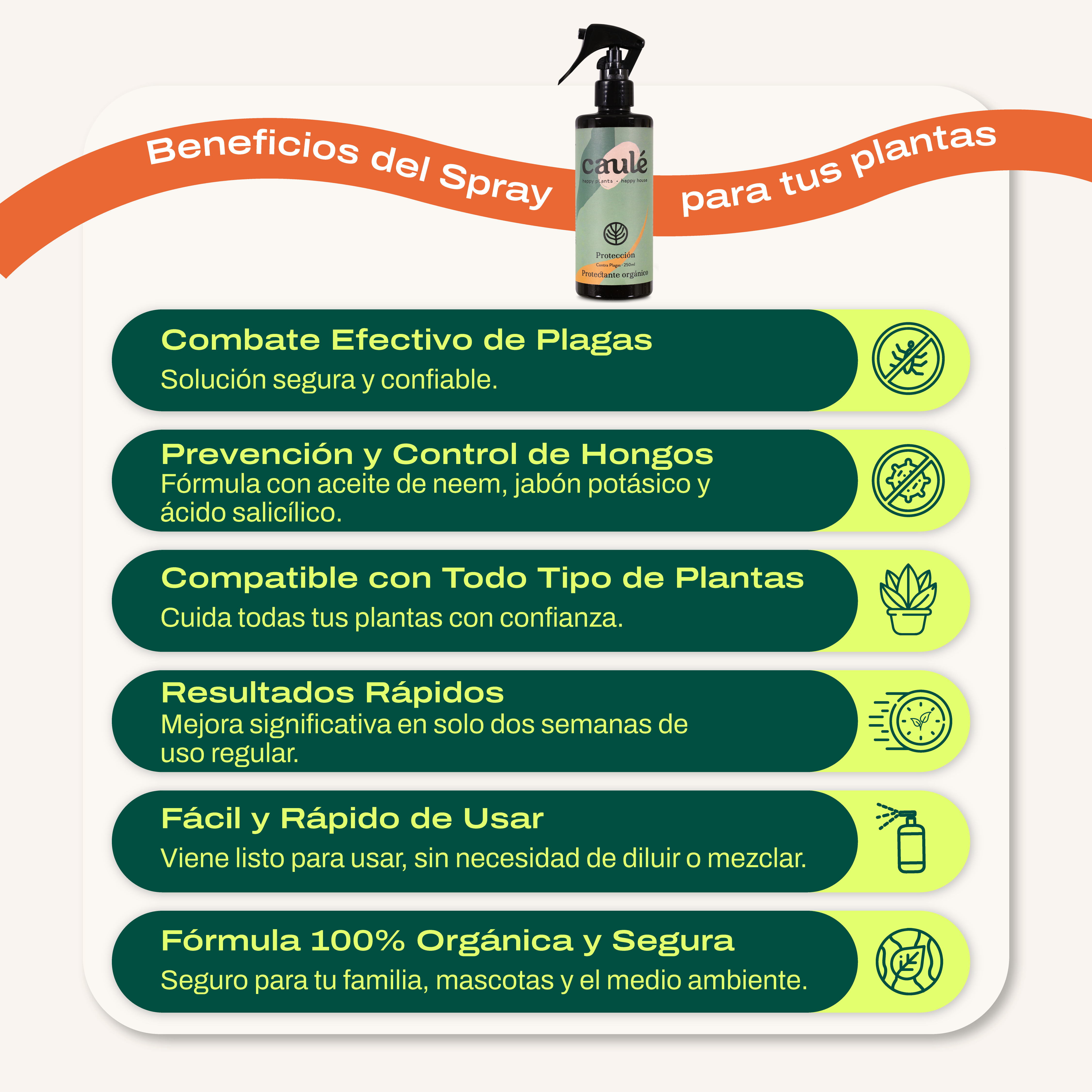 Protección - Spray Contra Plagas