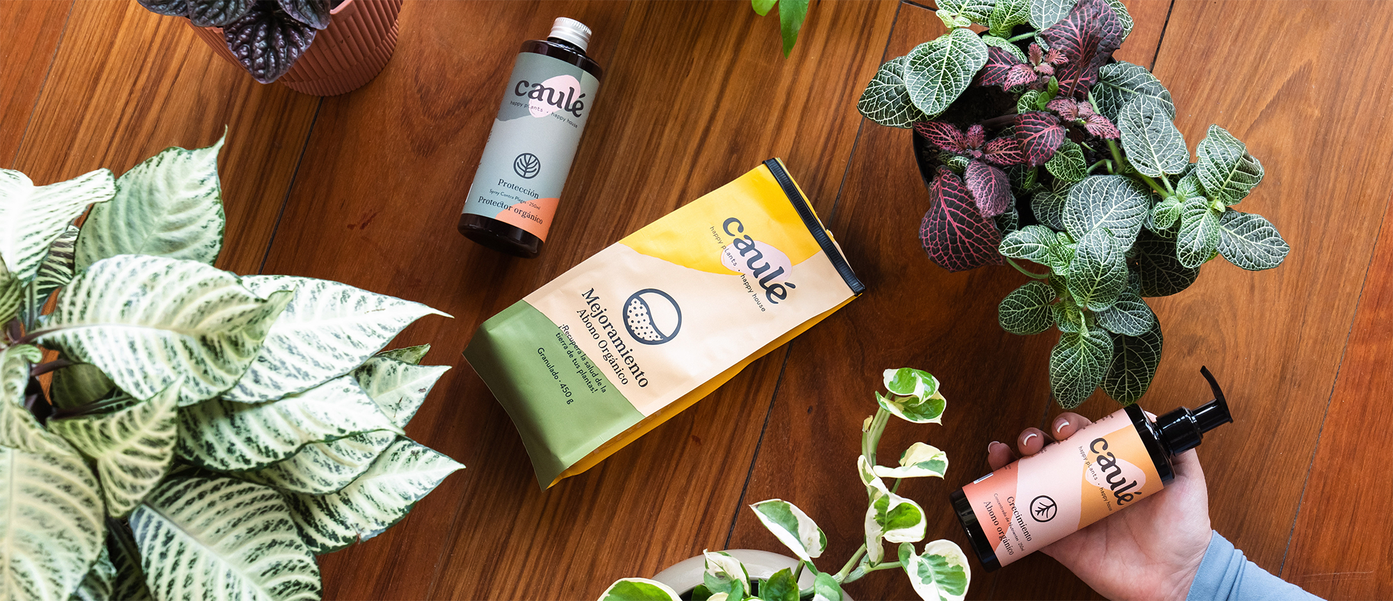 banner proposito productos caule