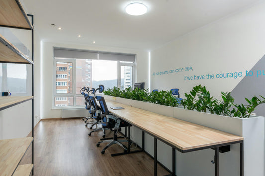 Inspírate: Ideas creativas para utilizar plantas en la decoración de tu oficina