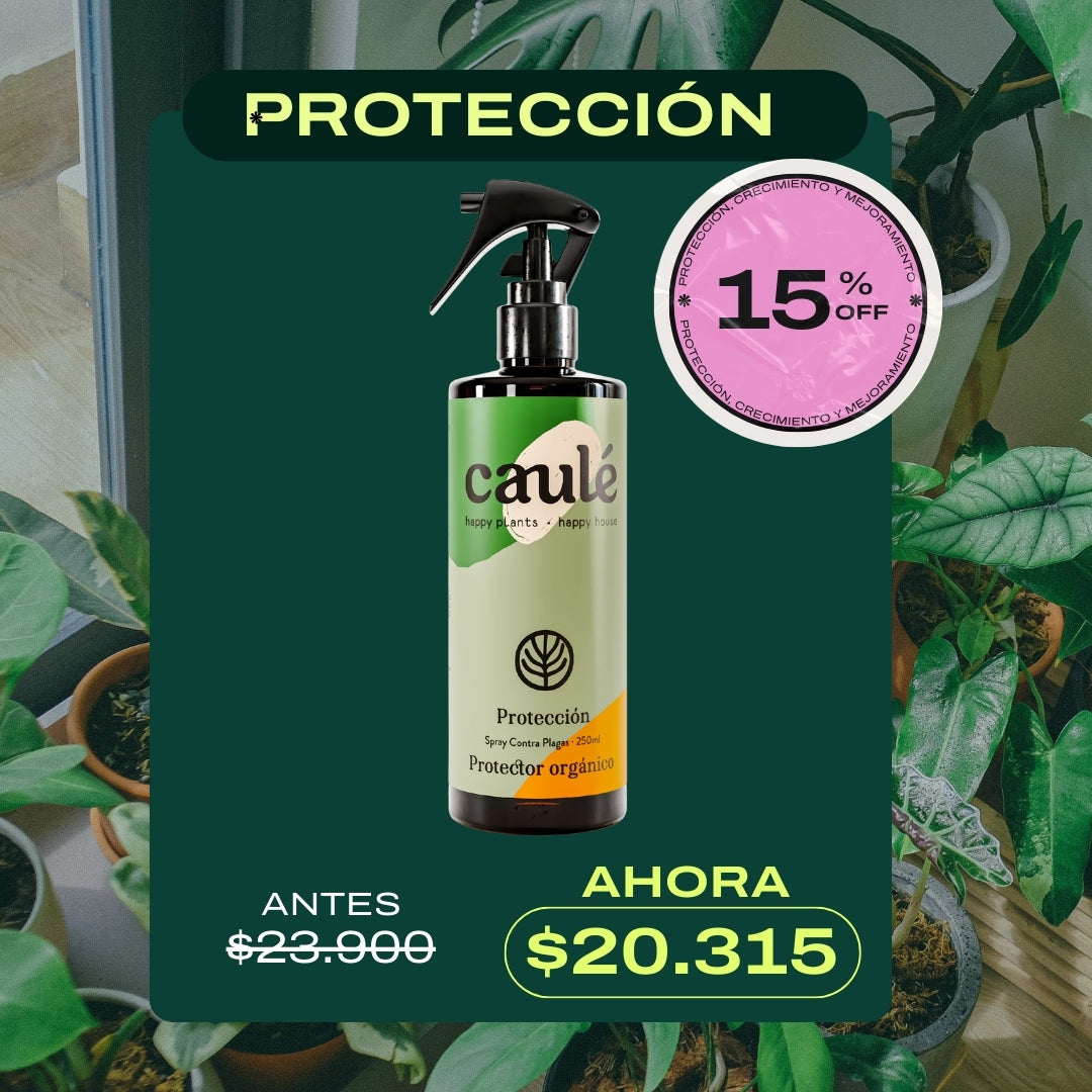 Protección - Spray Contra Plagas