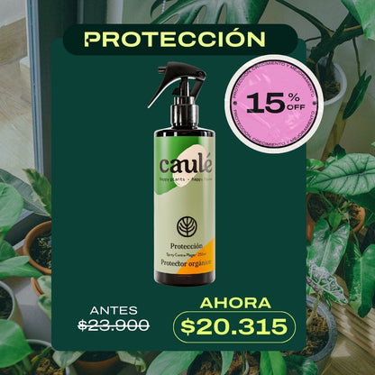 Protección - Spray Contra Plagas
