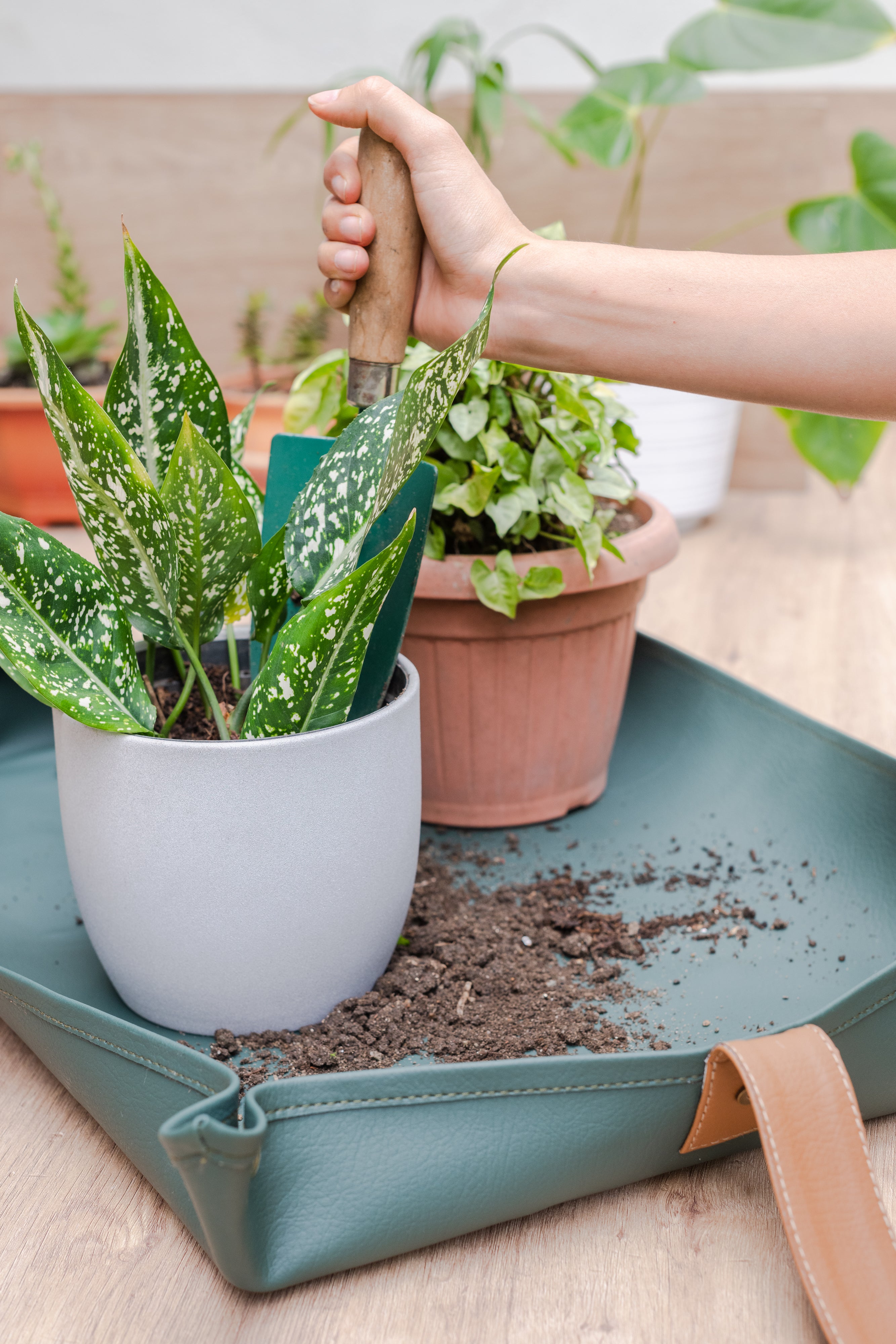 Mat de Jardinería