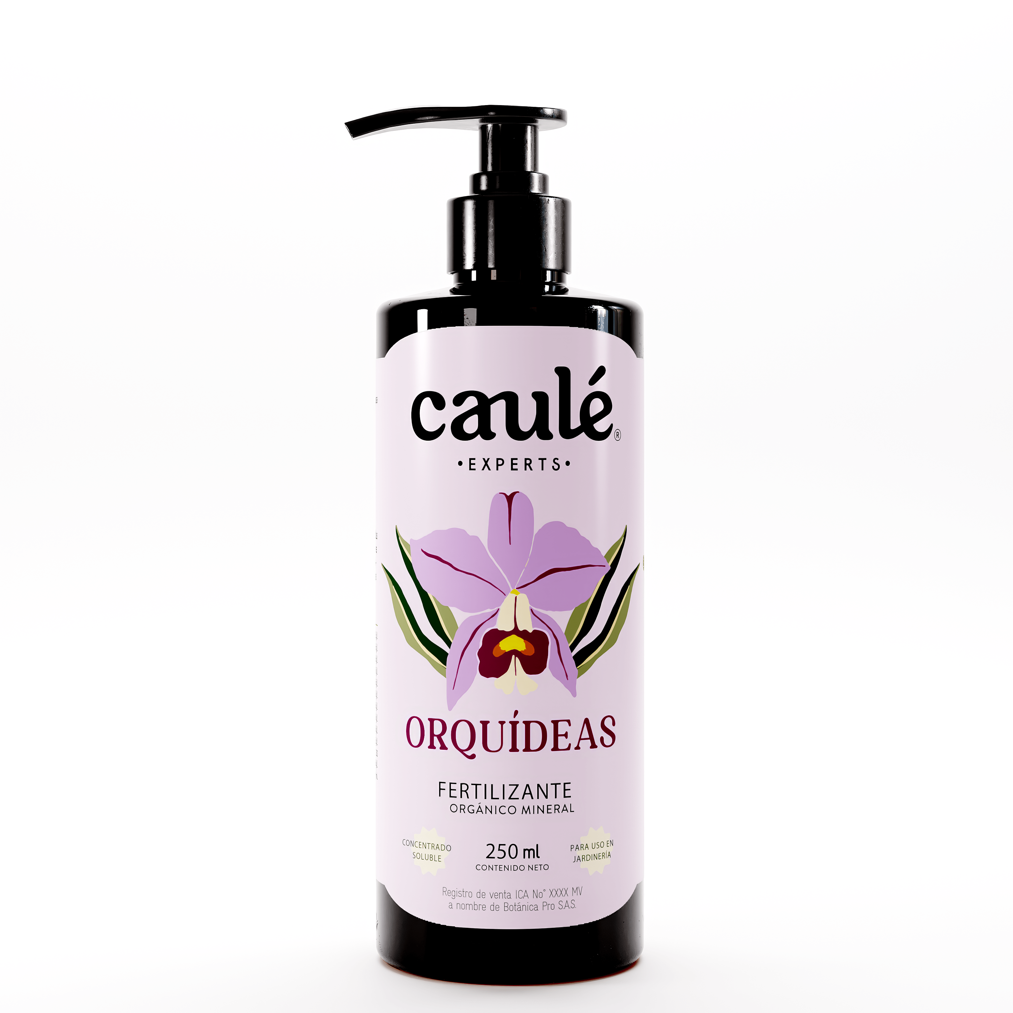 Caulé Orquídeas