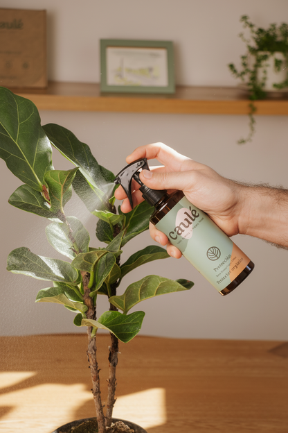 Protección - Spray Contra Plagas