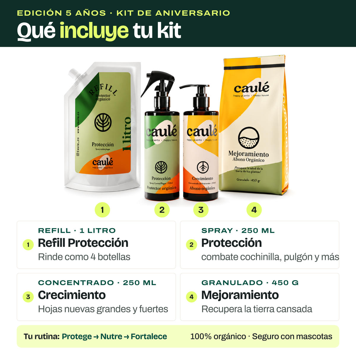 Kit de Aniversario: Plant Parent + Refill Protección