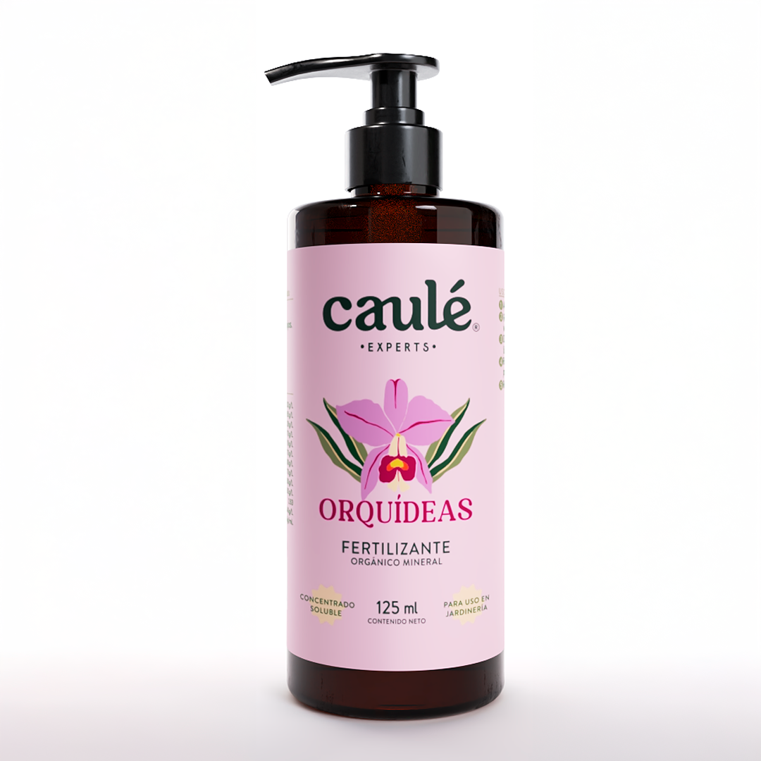 Caulé Orquídeas