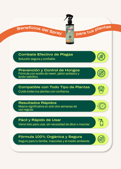 Refill Protección 1 Litro + Botella 250ml