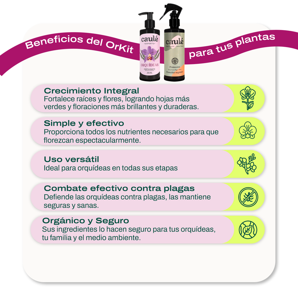 OrKit – Caulé Happy Plants