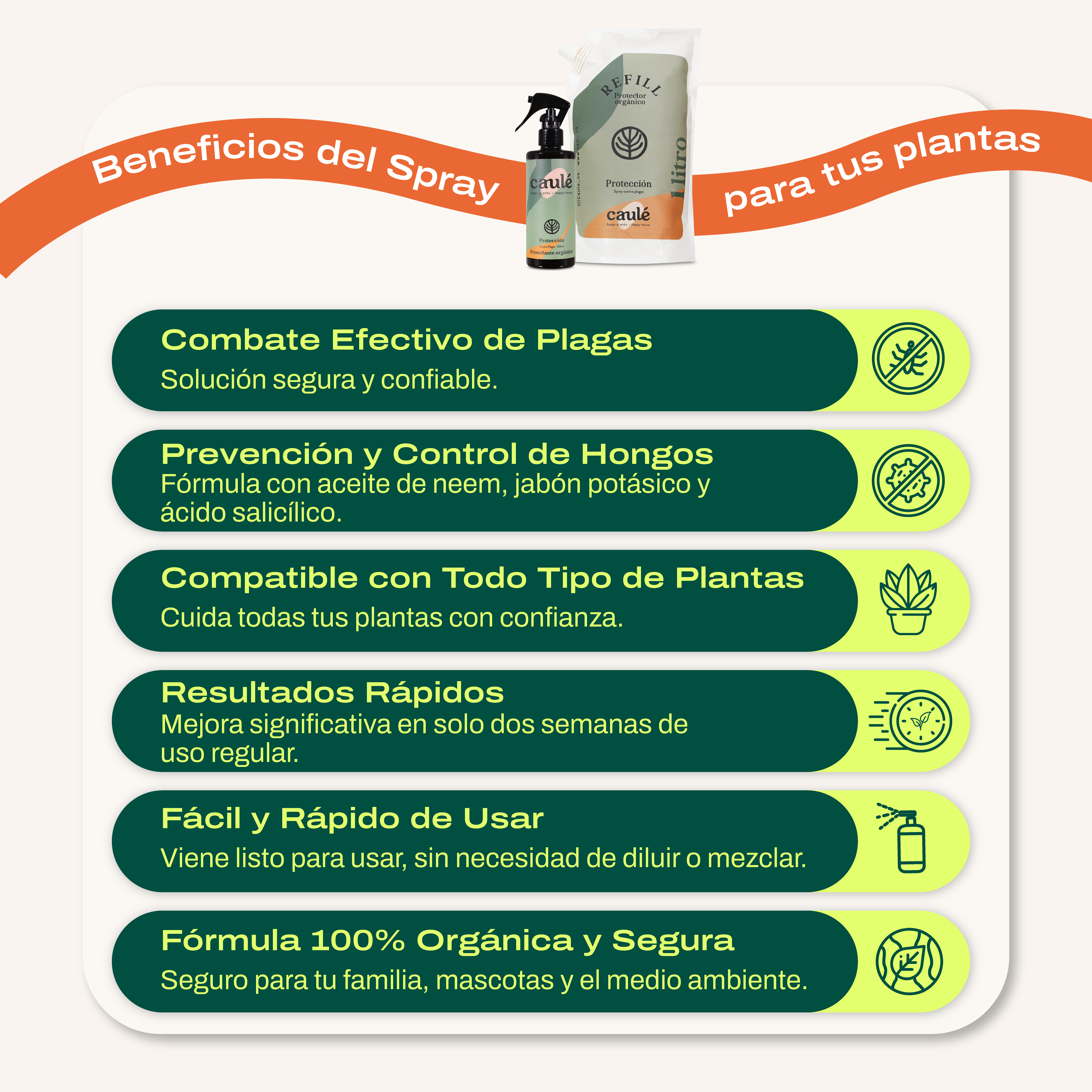 Refill Protección 1 Litro + Botella 250ml